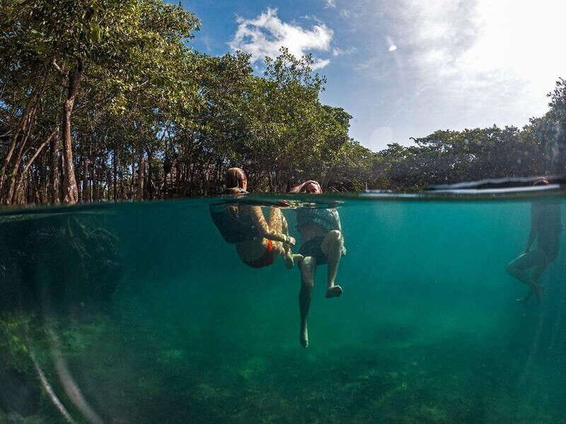 Holbox: Yum Balam Reserve Classic Boat Tour - Yalahau option vs Bird Island option: pick your swim style