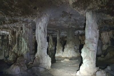 Horse Ride to Cenote Mil Columnas - What the Thousand Columns Cenote Is Really About