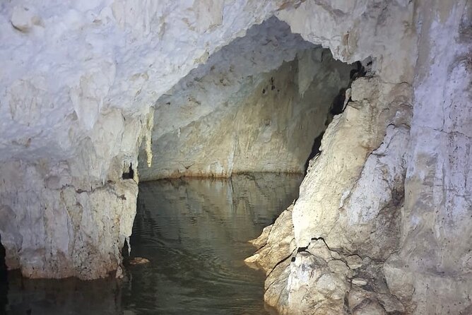 Horse Ride to Cenote Mil Columnas - Small Group Pace: Calm Riding Over Big-Crowd Energy