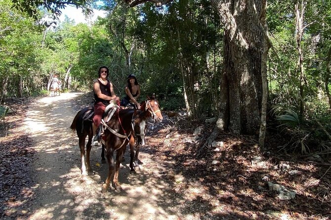 Horse Ride to Cenote Mil Columnas - Price and Value in Tulum: What $104.73 Is Buying