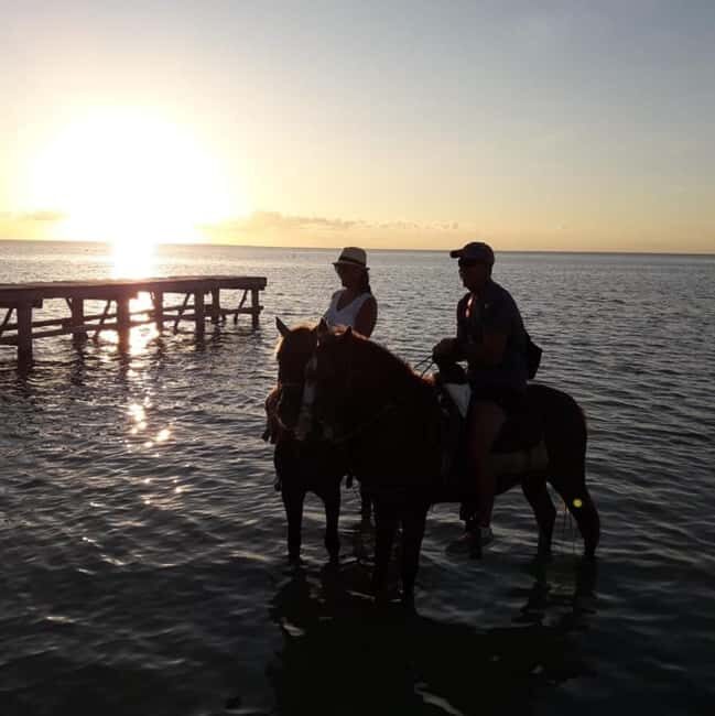 Horseback Adventure in Holbox - Key highlights worth your time