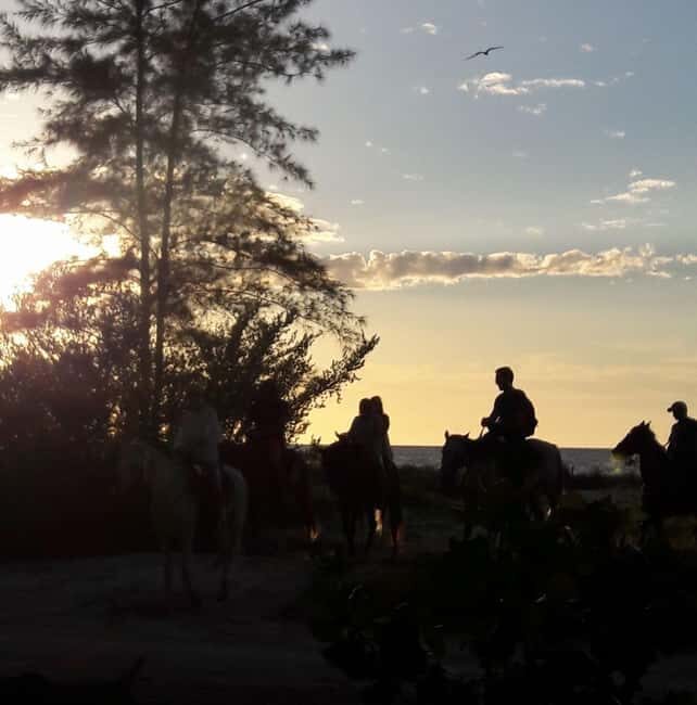 Horseback Adventure in Holbox - Horseback Through Punta Siricote Mangroves and the Beach Edge