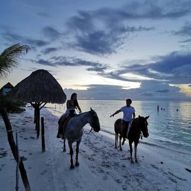 Horseback Adventure in Holbox - Trot or Gallop, and the Real Meaning of Being Responsible