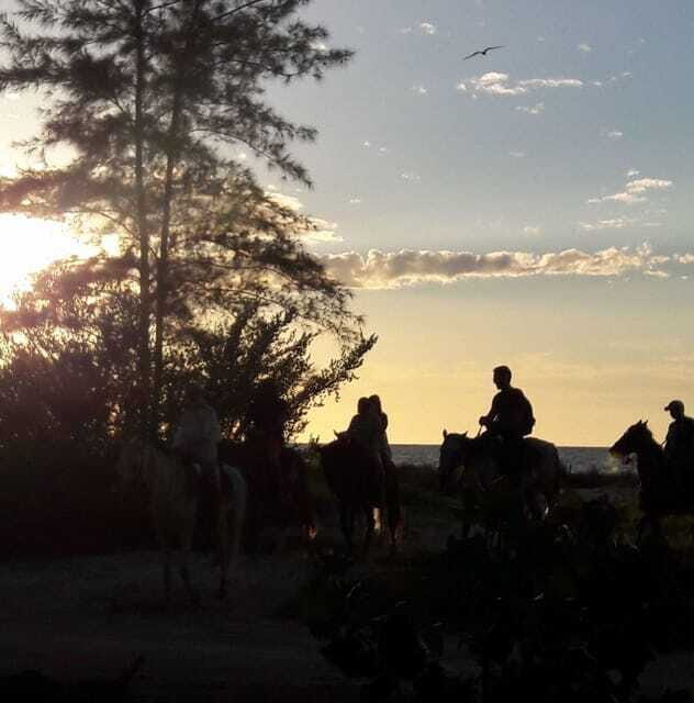 Horseback Adventure in Holbox - Who This Horseback Ride Fits Best