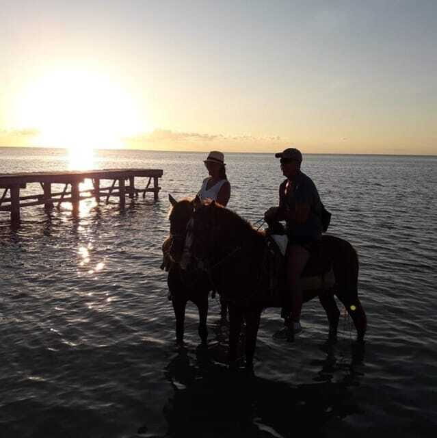 Horseback Adventure in Holbox - Should You Book Los Potrillos Holbox Horseback Riding?