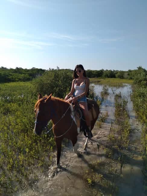 Horseback Adventure in Holbox - What a 1 Hour 20 Minute Ride Feels Like