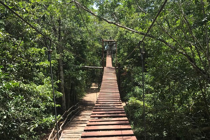 Horseback riding and ATV in the jungle, Ziplines, Cenote & Lunch - Food, Water, and the Timing Twist
