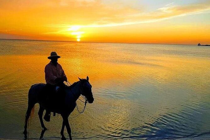 Horseback Riding on the Beaches of Holbox - Why Holbox Beach Horseback Riding Feels Like an Island Moment