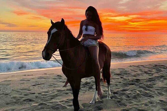 Horseback Riding on the Beaches of Holbox - Meet the Horses and the Guide (Victor’s Caring Style)