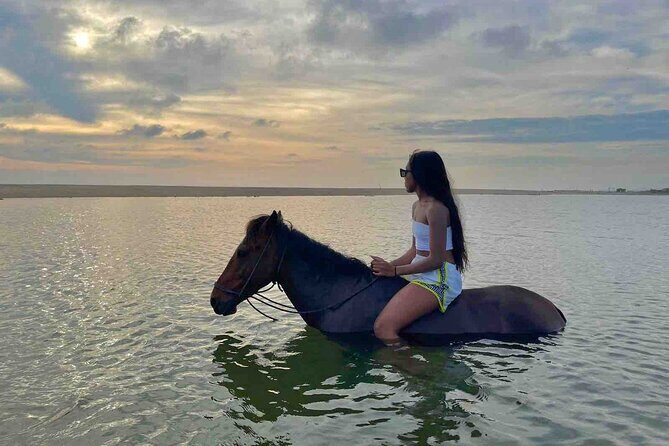 Horseback Riding on the Beaches of Holbox - Who Should Book This Ride on Holbox