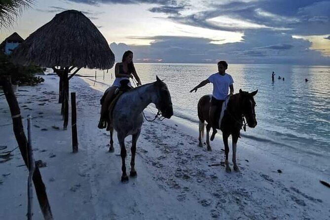 Horseback Riding on the Beaches of Holbox - Mangroves, Town, and Quiet Paths Before You Hit the Sand