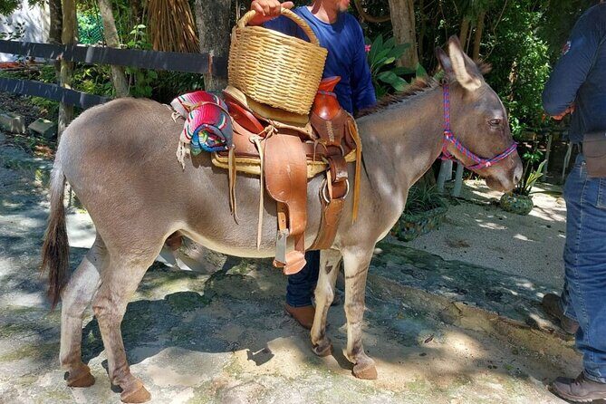 Horseback Riding Tour at Rancho Bonanza and Cenote Swim - Price and Value: Is $149 Worth It in Cancun?