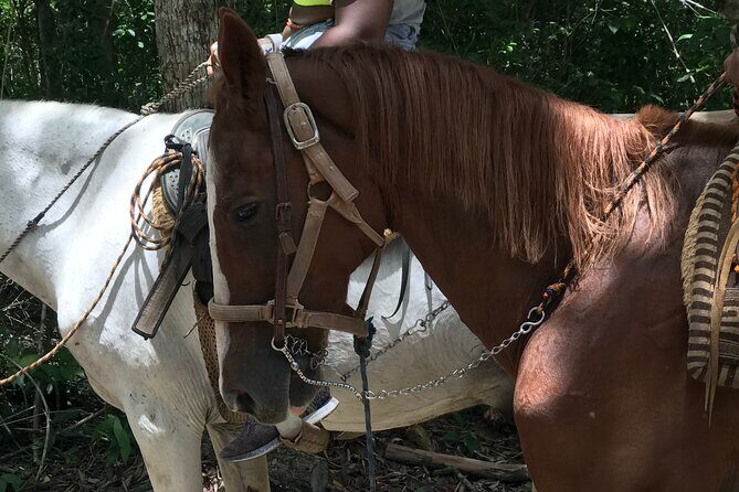Horseback riding with ATV, zip lines and cenote, lunch and transfer - What to pack so the day stays comfortable