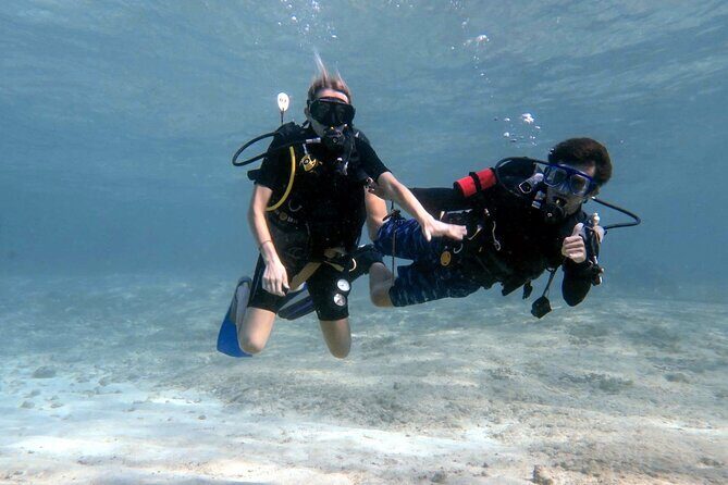 Introductory Diving Class in the Cozumel Reefs - Key highlights at a glance