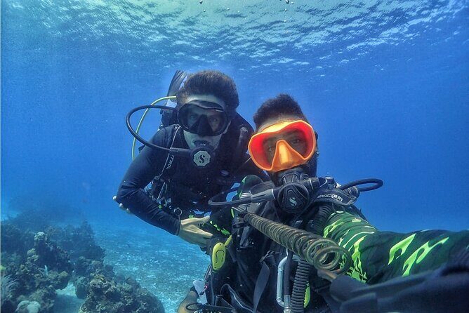 Introductory Diving Class in the Cozumel Reefs - Two Reef Sessions: What the About-One-Hour Blocks Really Give You