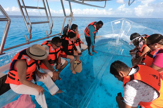 Invisible Boat Snorkeling Tour - What You’ll See Underwater: Fish, Stingrays, and Realistic Expectations