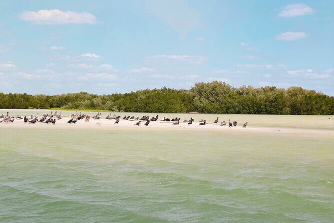 Isla Columpios and Progreso Day Trip - Who Should Book This Tour (and Who Should Think Twice)
