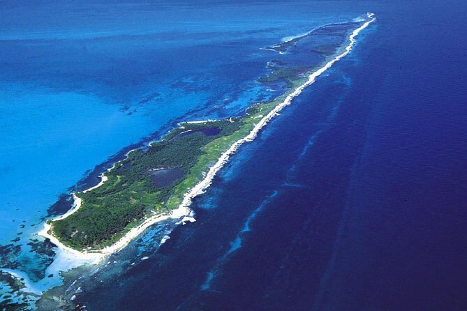 Isla Contoy Adventure Tour & Isla Mujeres from Playa del Carmen - Lunch, open bar, and the guide team that keeps the day smooth