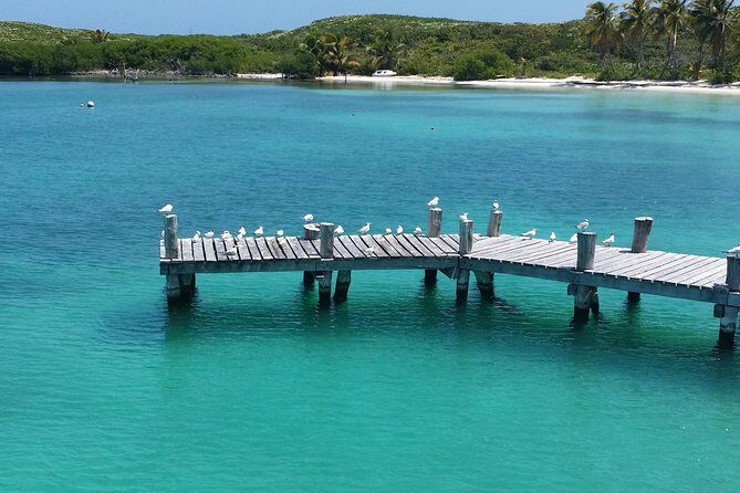 Isla Contoy and Isla Mujeres Tour with Snorkeling from Cancun - Snorkeling at Ixlache Reef: what gear you get and what conditions you need