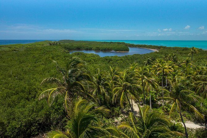 Isla Contoy and Isla Mujeres Tour with Snorkeling from Cancun - Isla Contoy National Park: white sand, trails, and real wildlife
