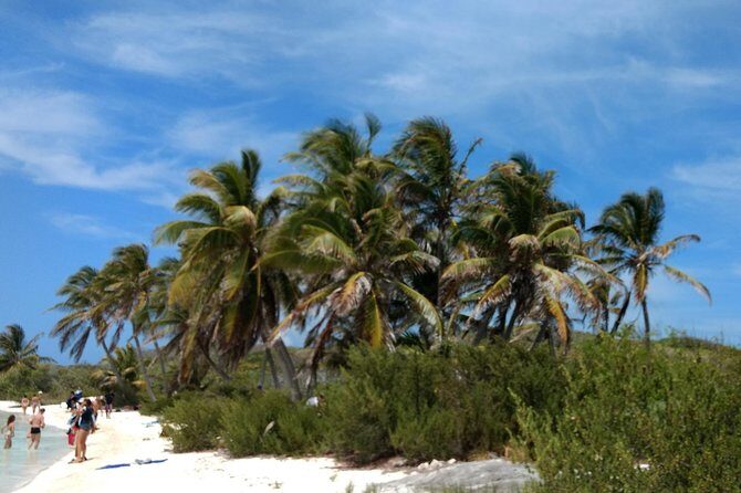 Isla Contoy and Isla Mujeres Tour with Snorkeling from Cancun - The boat ride reality check: speed, comfort, and seasickness risk