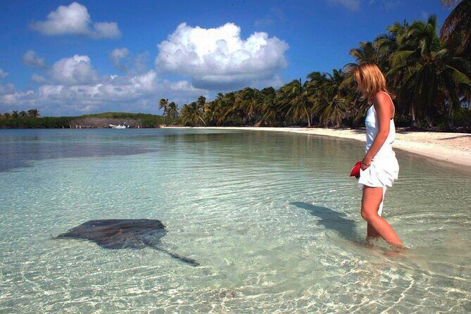 Isla Contoy Hidden Beauty! Transportation from Riviera Maya - Tips to Have a Smoother Day