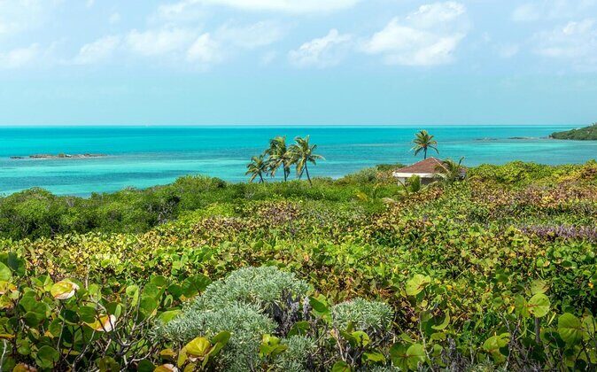 Isla Contoy Incredible Tour! Round Transportation From Cancun & Playa Del Carmen - Quick hits before you go