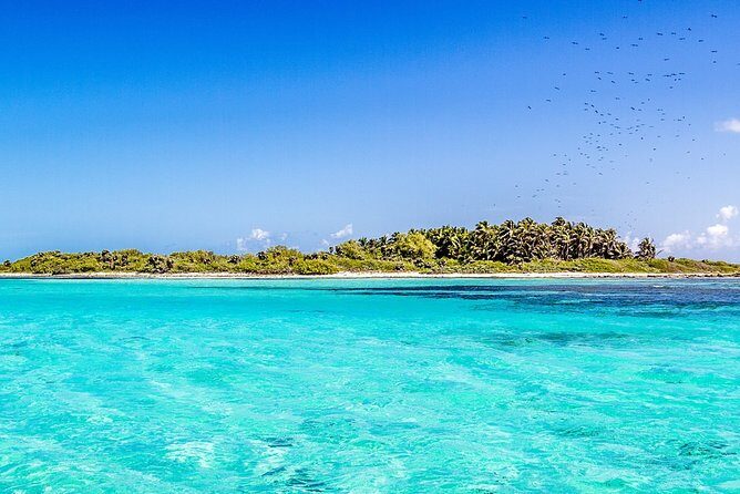 Isla Contoy Incredible Tour! Round Transportation From Cancun & Playa Del Carmen - Ixlache Reef Snorkel: Short, Rule-Based, and Worth It
