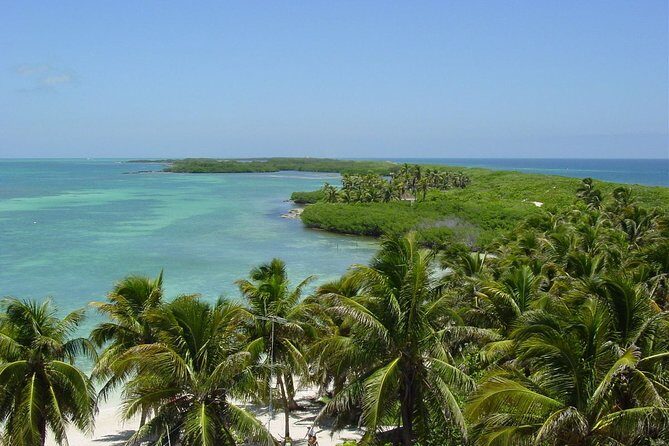 Isla Contoy Incredible Tour! Round Transportation From Cancun & Playa Del Carmen - Isla Mujeres for One Hour: Fun, But Plan Like It’s a Taste
