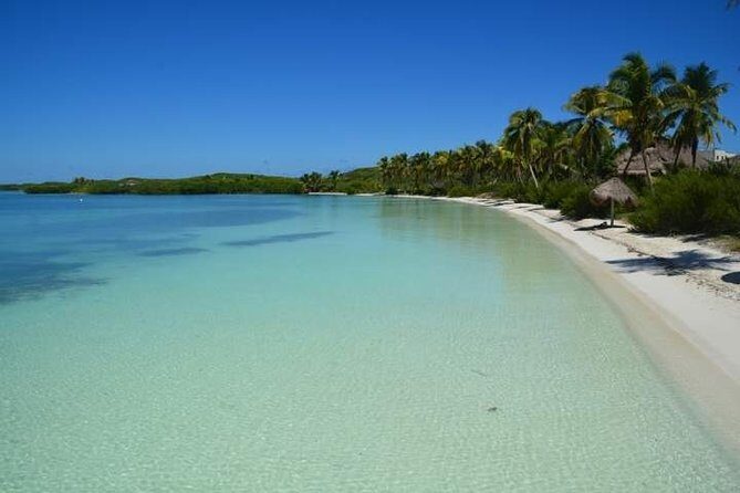 Isla Contoy Incredible Tour! Round Transportation From Cancun & Playa Del Carmen - Drinks, Energy, and the Shared-Group Reality