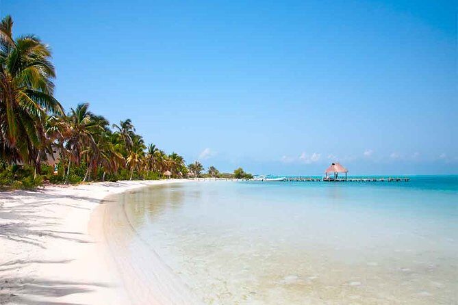 Isla Contoy Incredible Tour! Round Transportation From Cancun & Playa Del Carmen - Price and Value: $161 Plus the $20 Dock Tax