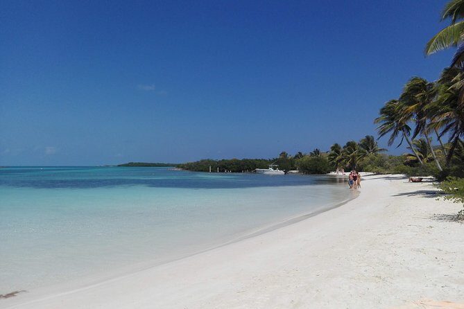 Isla Contoy & Isla Mujeres (from Playa del Carmen) - Isla Contoy National Park: what guided time looks like