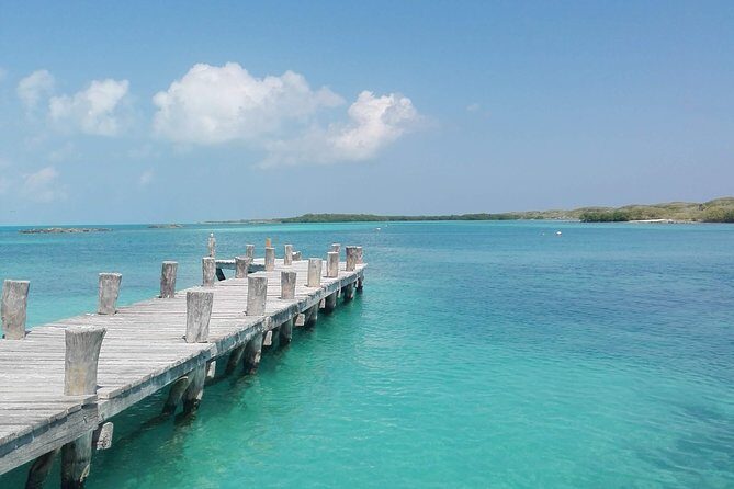 Isla Contoy & Isla Mujeres (from Playa del Carmen) - Open bar, drinks, and the reality of a day on the water
