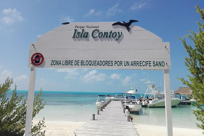 Isla Contoy & Isla Mujeres (from Playa del Carmen) - Snorkeling highlights you can realistically aim for
