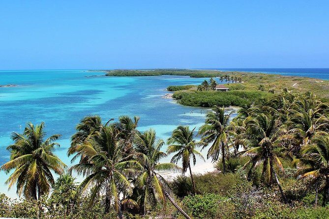 Isla Contoy & Isla Mujeres Tour from Cancun & Playa Del Carmen - Isla Contoy: why this island feels special (and what you do there)