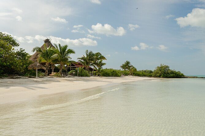 Isla Contoy Private Day Tour, from Cancun - Key things to know before you go