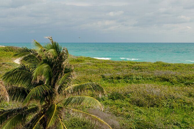 Isla Contoy Private Day Tour, from Cancun - Isla Contoy walk and bird sanctuary viewing with a guide