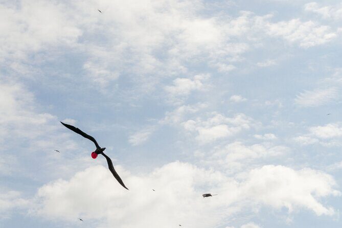 Isla Contoy Private Day Tour, from Cancun - Lunch: the Tikinxic fish moment you’ll remember