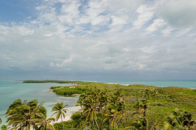Isla Contoy Private Day Tour, from Cancun - Back to Punta Sam: close out the day with one last transfer