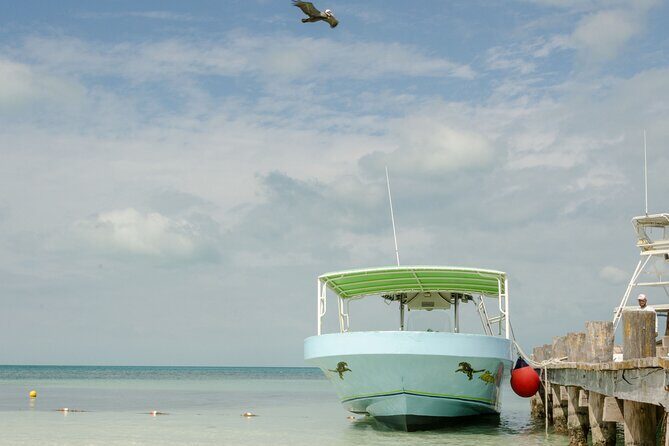 Isla Contoy Private Day Tour, from Cancun - The private boat ride: comfortable, but plan for a set schedule