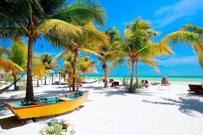 Isla Holbox All Inclusive with Transportation (Breakfast and Food Included) - Isla Pájaros (Passion Island): the bird island stop you came for