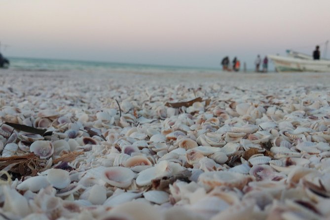 Isla Holbox All Inclusive with Transportation (Breakfast and Food Included) - Punta Mosquito: the quick add-on that helps the coastline feel complete