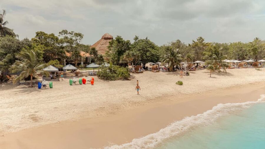 Isla Mia Roots with Tranfer - Who Isla Mia Roots with transfer is best for