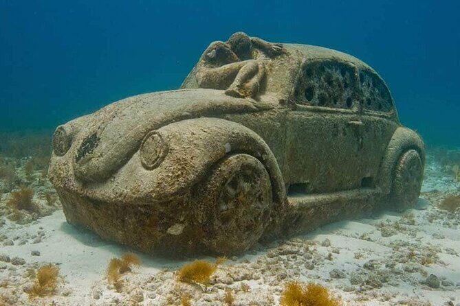 Isla Mujeres : All Inclusive Albatross Plus Tour with Transportation - MUSA underwater museum stop: 500+ sculptures and quick immersion time