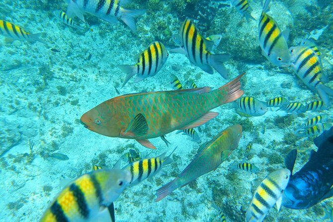Isla Mujeres Basic Tour in Catamaran with Snorkel and Open Bar - Stop 1: Playa Tortugas welcome and locker setup (what happens before you leave)