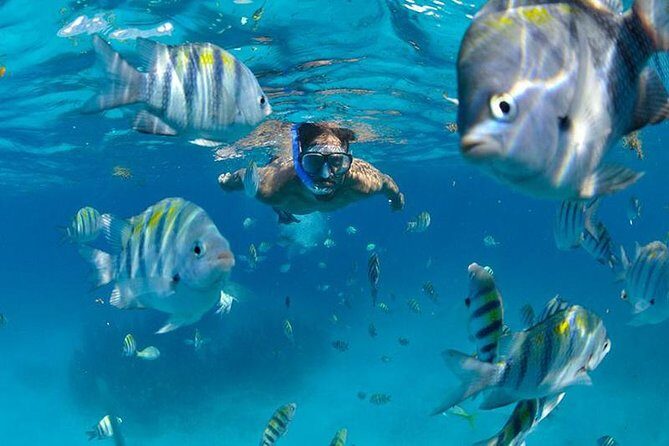 Isla Mujeres Catamaran Adventure All Inclusive from Cancun - Catamaran cruising and crew vibes: what makes it feel like a party cruise