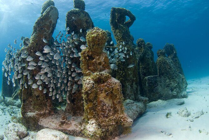 Isla Mujeres Catamaran Tour with Snorkeling at MUSA, Buffet Lunch & Open Bar - The North Beach swim and the open-bar return ride