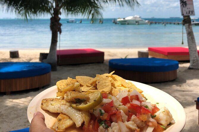 Isla Mujeres Catamaran Tour with Snorkeling at MUSA, Buffet Lunch & Open Bar - Who this tour fits best