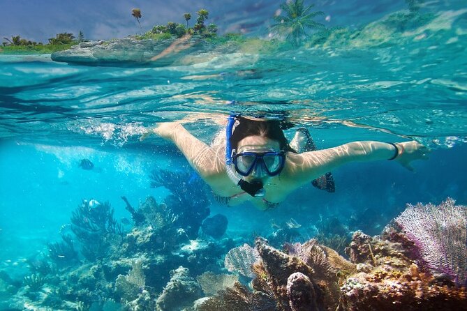 Isla Mujeres Catamaran Tour with Snorkeling, Open Bar & Buffet - Timing and pacing: how a 12-hour day trip usually plays out