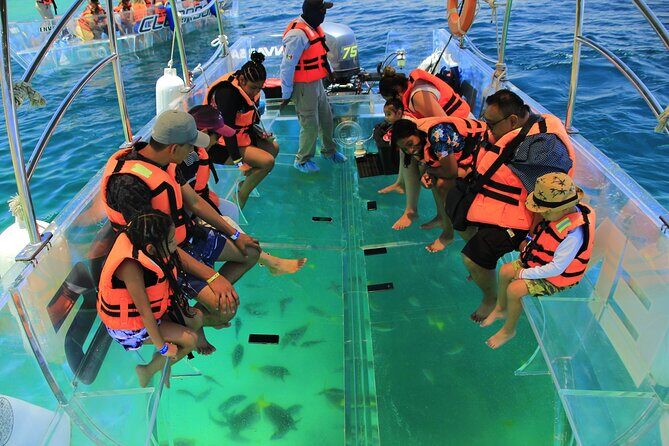 Isla Mujeres: Coral Reef Views from a Clear Boat - Stop 2: La Cadenita Reef Stretch for the Sea Show